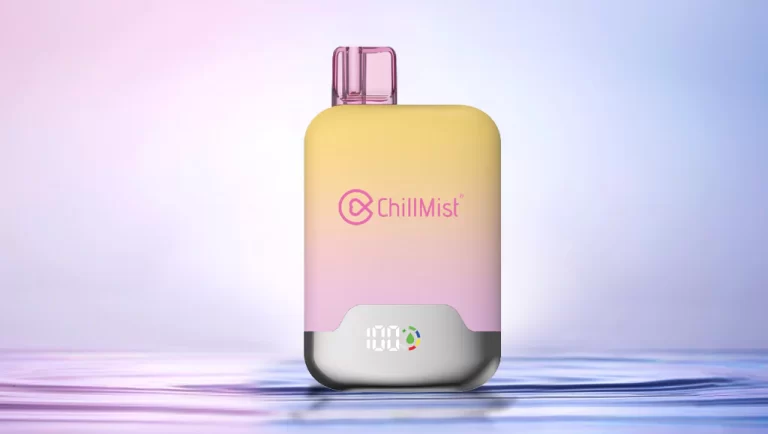 ChillMist’s Disposable Vape